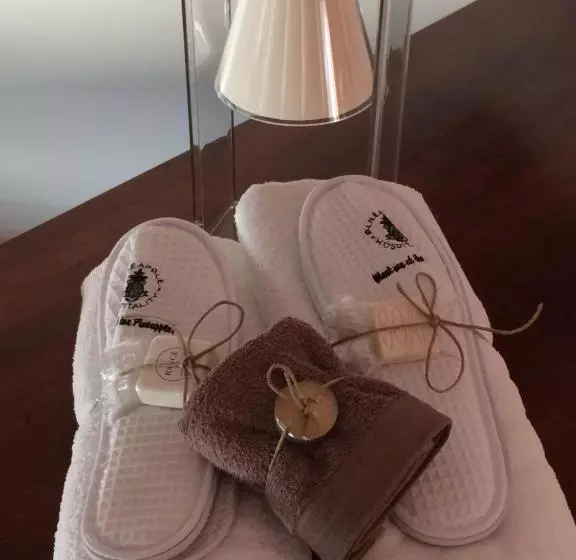 Aamiaismajoitus (B&B) Vieniacasaccadia