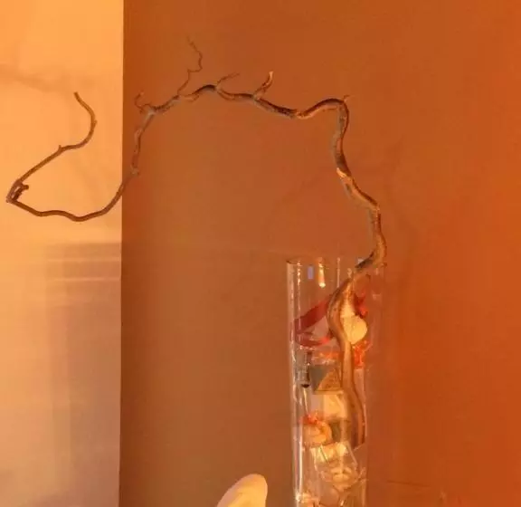 Aamiaismajoitus (B&B) Vieniacasaccadia