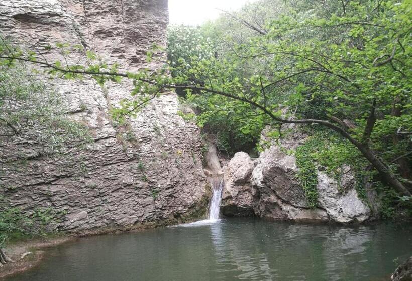 ベッドアンドブレックファースト Vieniacasaccadia