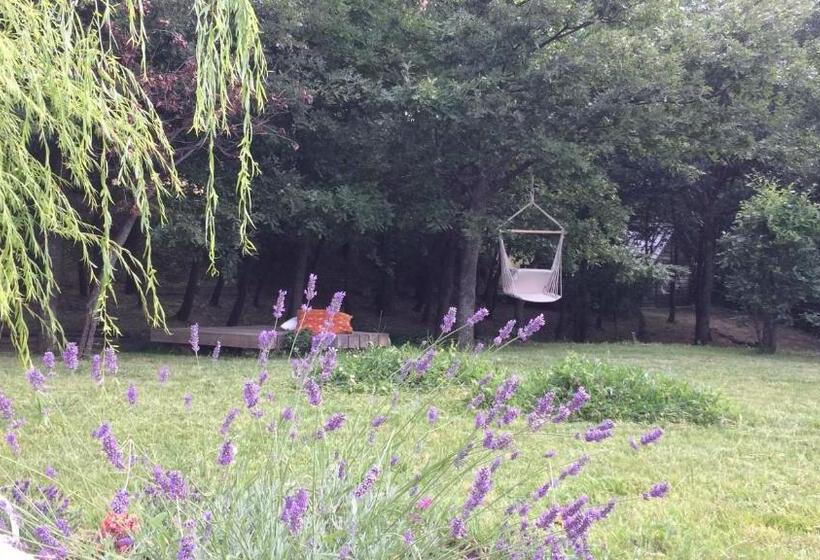 ベッドアンドブレックファースト Vieniacasaccadia