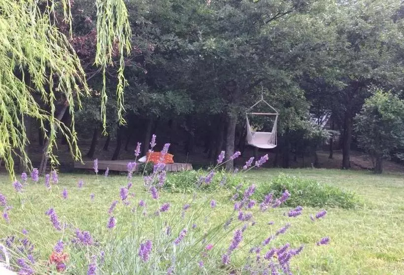 Aamiaismajoitus (B&B) Vieniacasaccadia