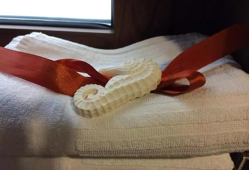 Aamiaismajoitus (B&B) Vieniacasaccadia