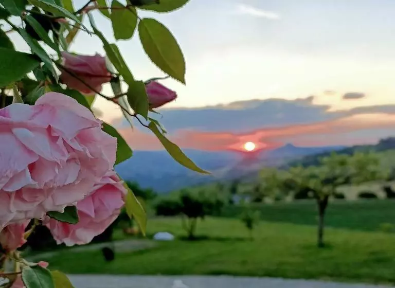 ホテル Agriturismo La Casetta   Ospitalità Rurale Familiare