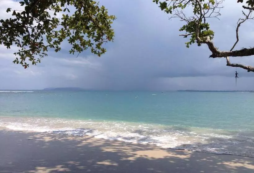 Hotelli Masokut Surf Camp Siberut Mentawai Surfing Barrels