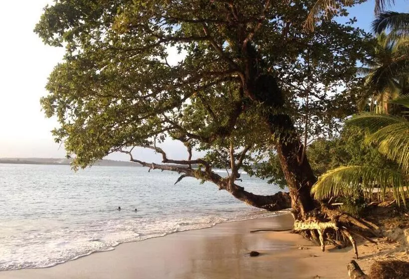 Hotelli Masokut Surf Camp Siberut Mentawai Surfing Barrels