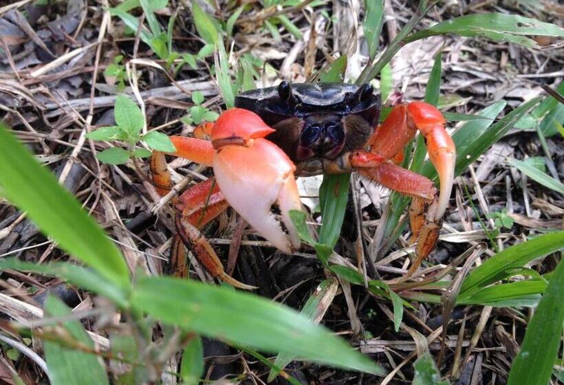 Hotel Masokut Surf Camp Siberut Mentawai Surfing Barrels