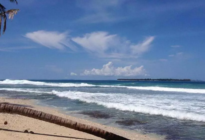 Hotelli Masokut Surf Camp Siberut Mentawai Surfing Barrels