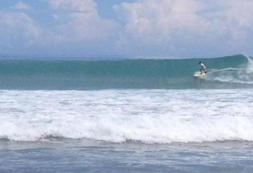 Hotelli Masokut Surf Camp Siberut Mentawai Surfing Barrels