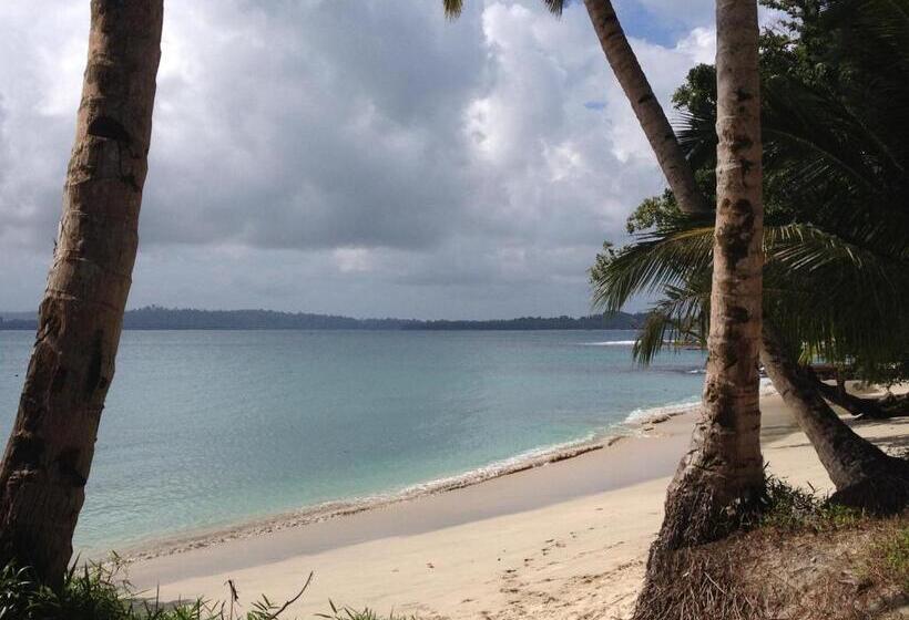 Hotel Masokut Surf Camp Siberut Mentawai Surfing Barrels