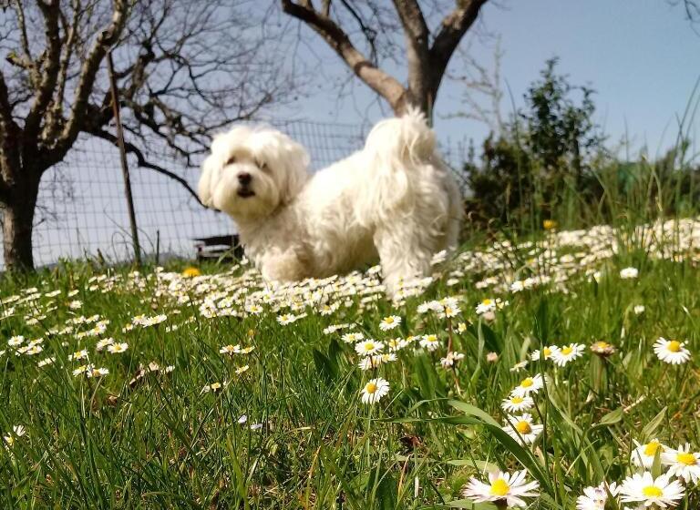 Il Marrondindo Bed & Breakfast