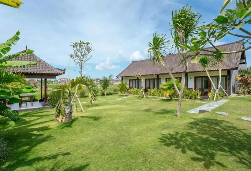 ペンション Carik Bali Guest House Canggu