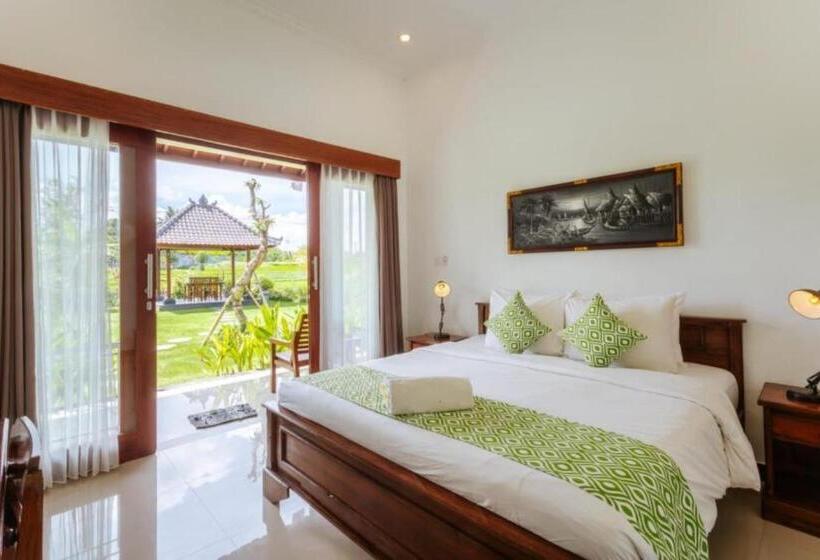 膳宿费 Carik Bali Guest House Canggu