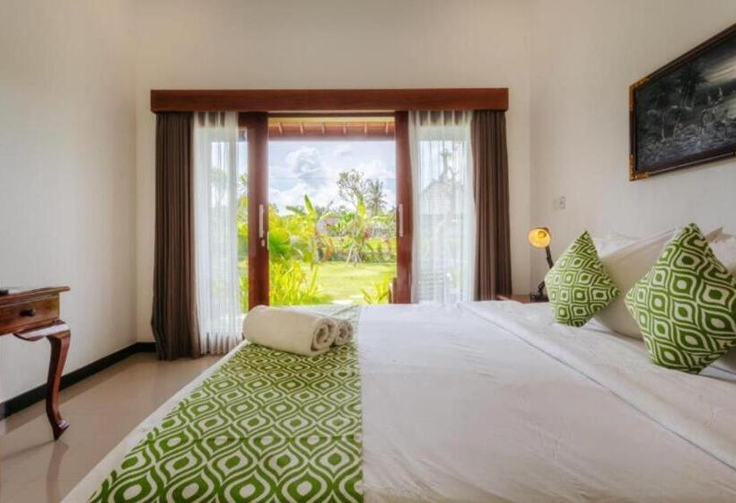 膳宿费 Carik Bali Guest House Canggu