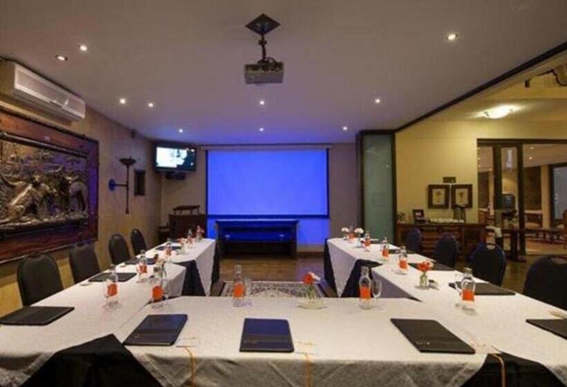 פנסיון Lazy Lizard Guesthouse