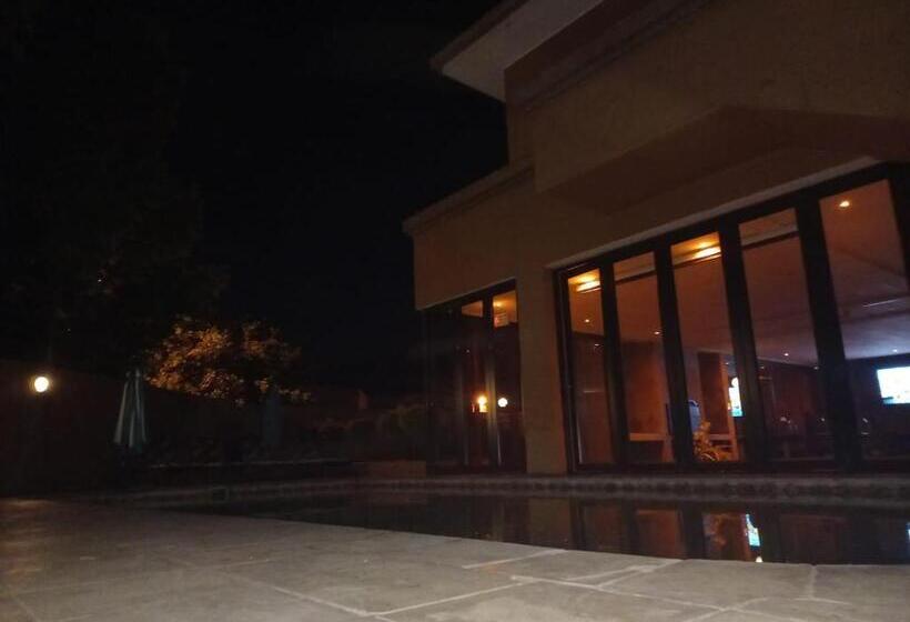 פנסיון Lazy Lizard Guesthouse