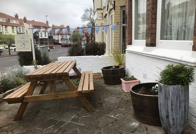 בית מלון כפרי Dolphin Guesthouse