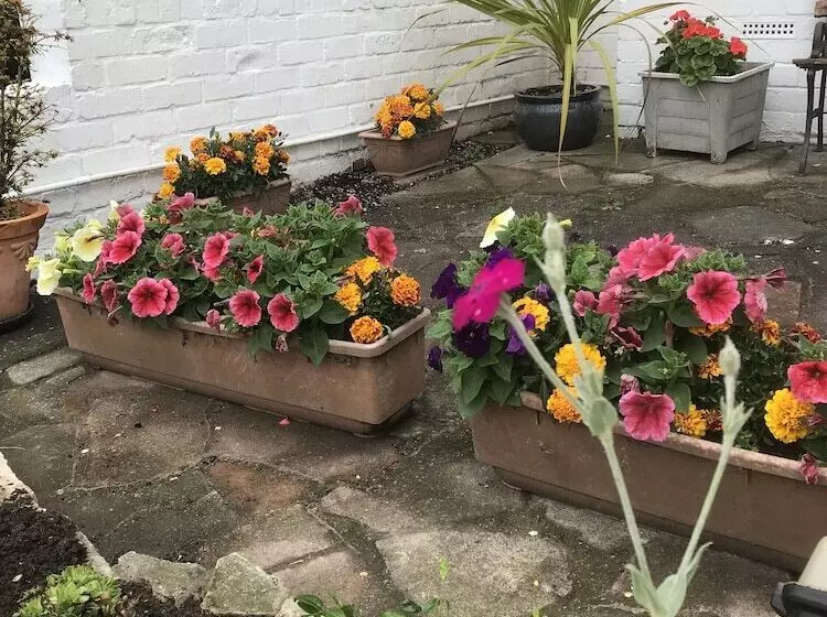 בית מלון כפרי Dolphin Guesthouse