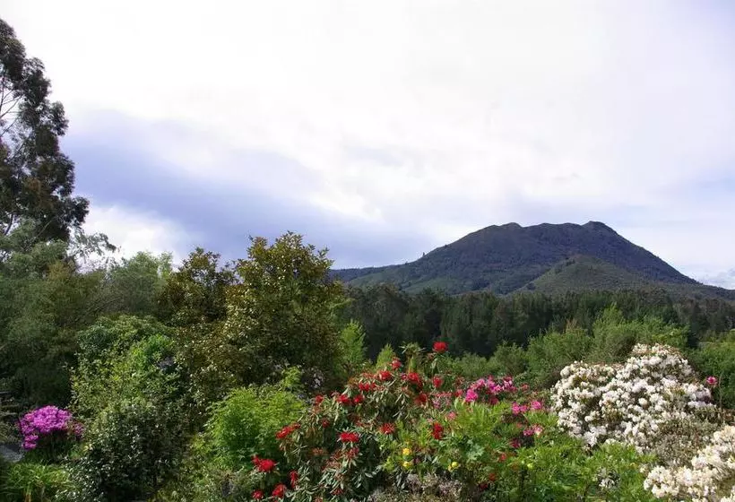 Hotel Kauri Point Luxury Bed & Breakfast