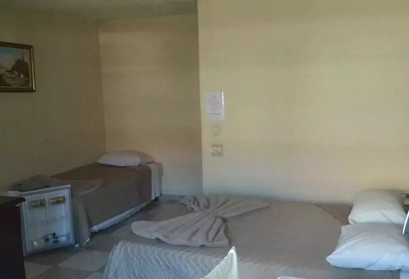 ホテル Vieira S Palace