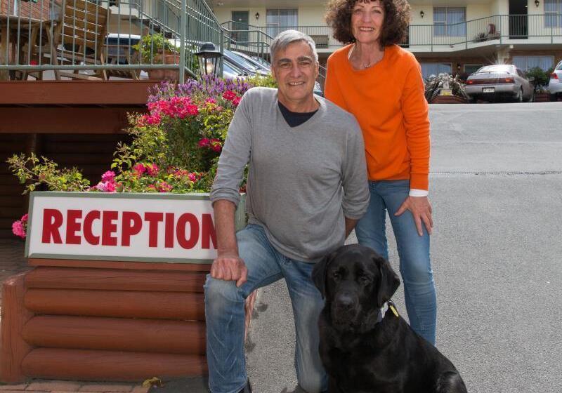 מוטל Alexis Motor Lodge