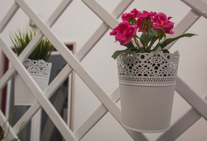 펜션 Thomar Story Guest House