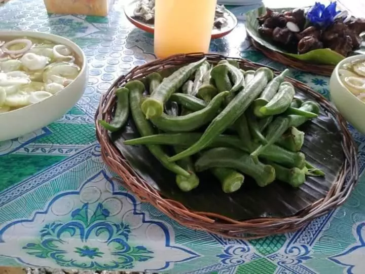 ホテル Jolits Ecogarden Hostel