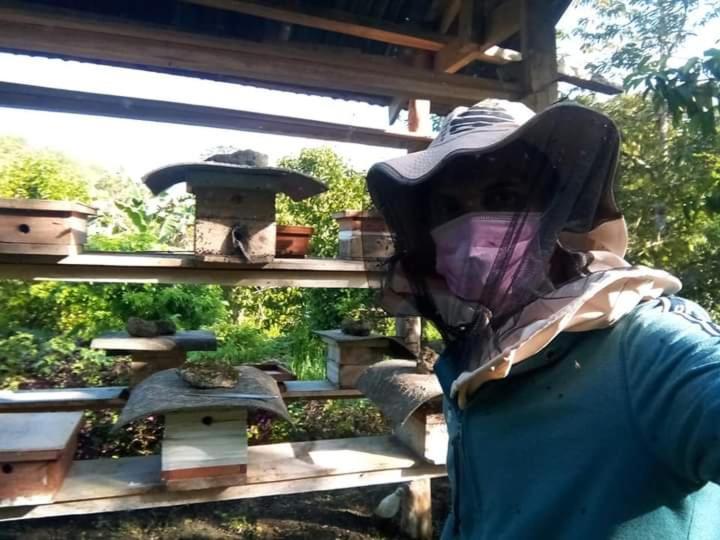 Отель Jolits Ecogarden Hostel