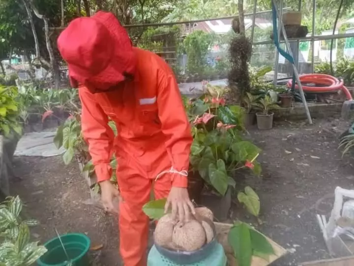 ホテル Jolits Ecogarden Hostel