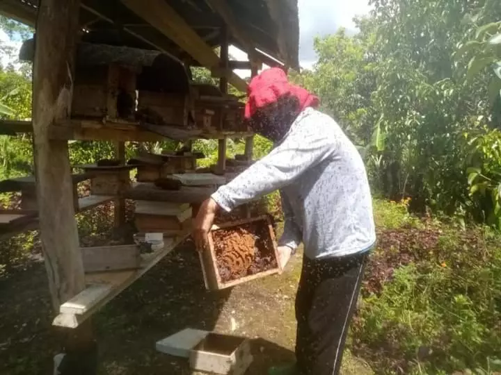 ホテル Jolits Ecogarden Hostel