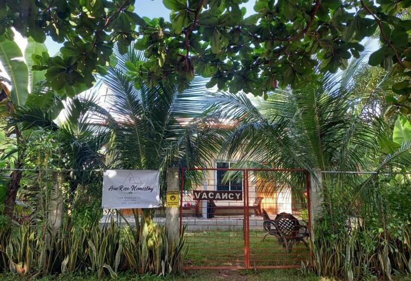 Pension Anerose Homestay