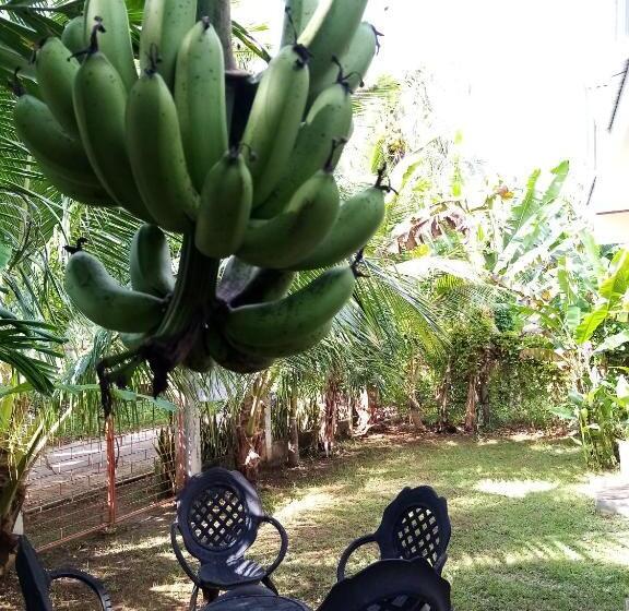 Pension Anerose Homestay