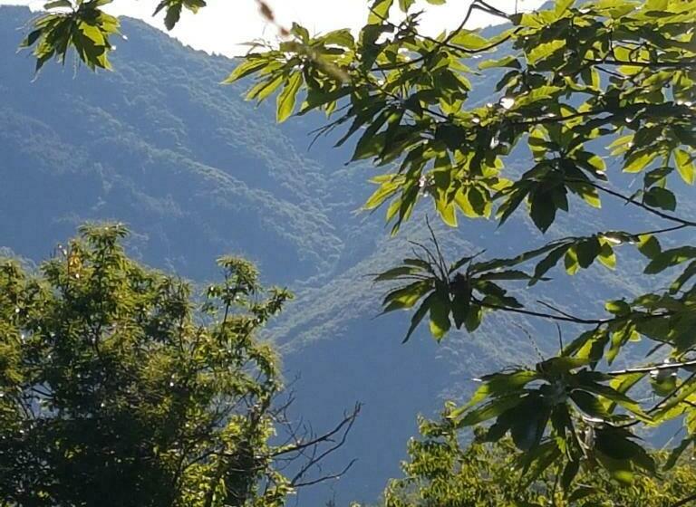 הוסטל Auberge Du Thélème