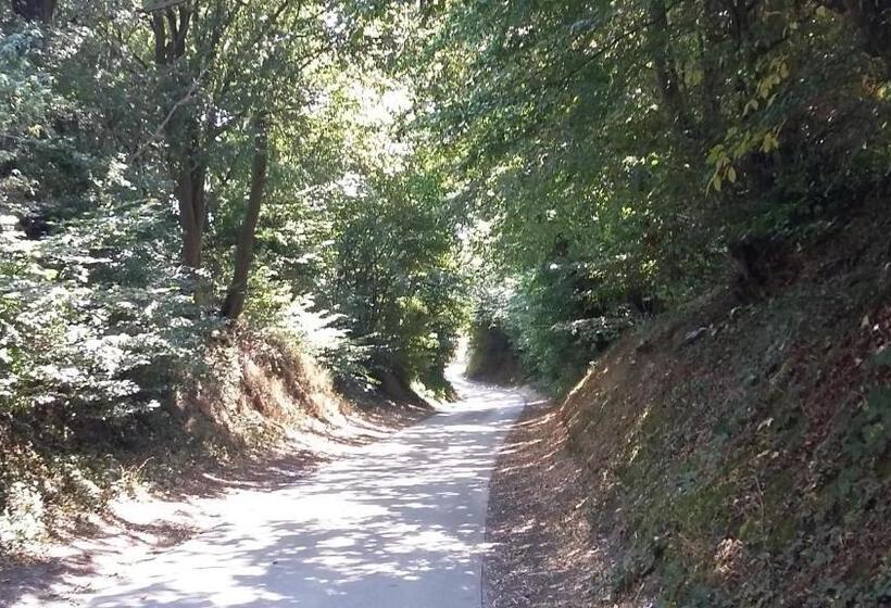 צימר Au Fil Des Rêves