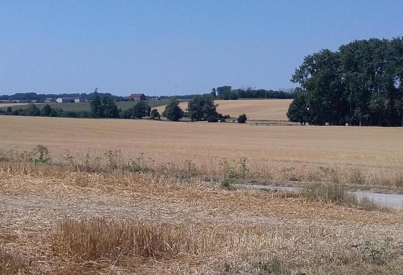 צימר Au Fil Des Rêves