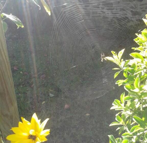 ベッドアンドブレックファースト L Instant Jardin