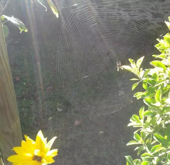 Aamiaismajoitus (B&B) L Instant Jardin