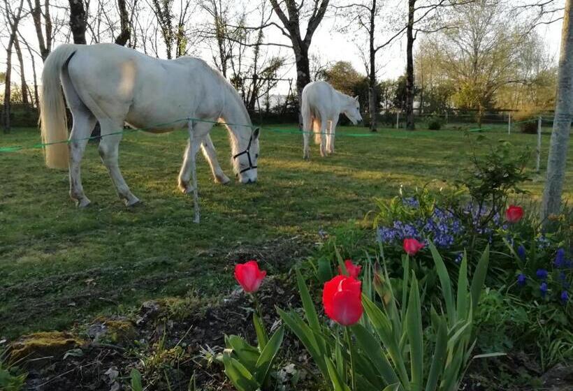 Bed and Breakfast L Instant Jardin