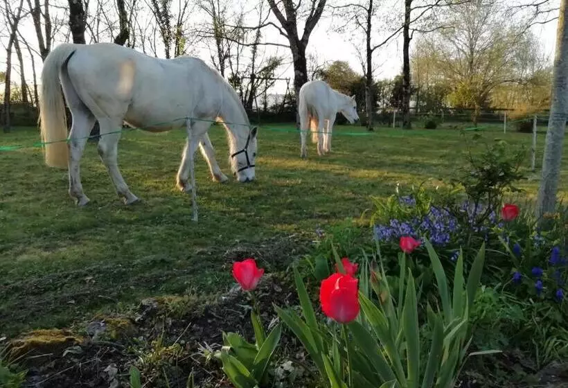 Aamiaismajoitus (B&B) L Instant Jardin