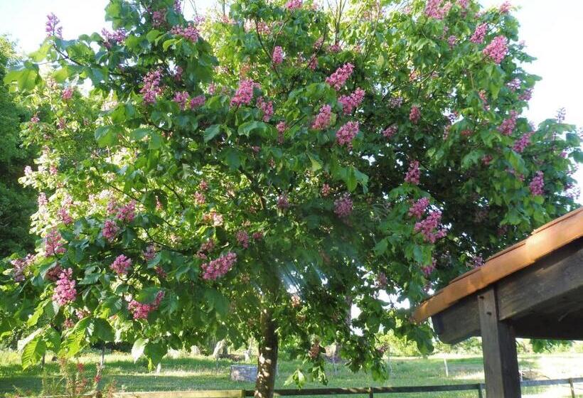 Bed and Breakfast L Instant Jardin