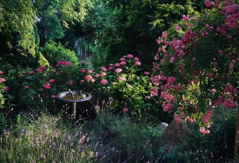 Aamiaismajoitus (B&B) Landhaus Zu Kürenberg