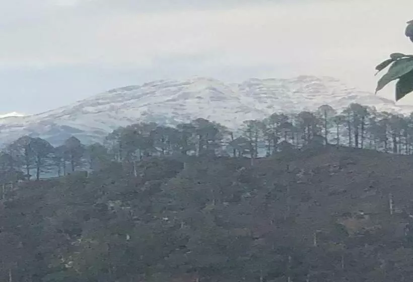 Hotelli Shivay Kingdom Eco Cottage And Huts