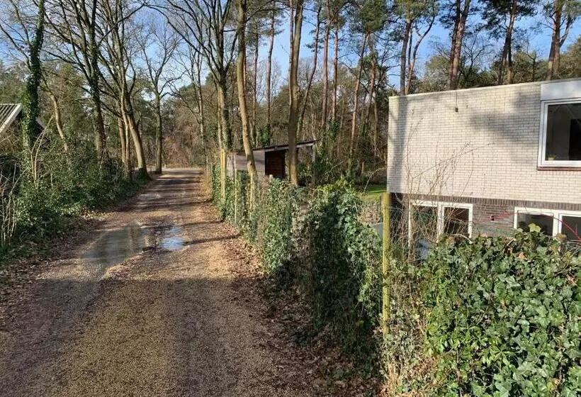 B&b  T Onderkomen