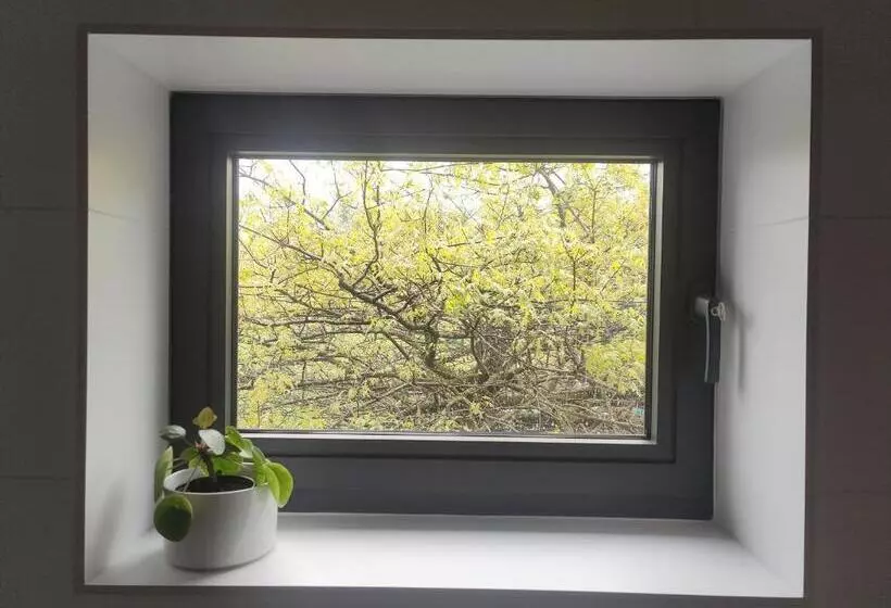 Aamiaismajoitus (B&B) Akrenbos 101