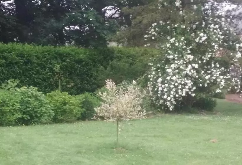 ベッドアンドブレックファースト Chambres D Hôtes Les 4 Vents