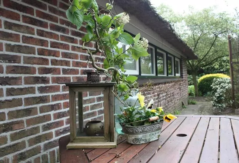 ベッドアンドブレックファースト Drentse Krent