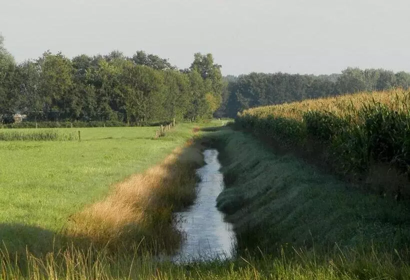 ベッドアンドブレックファースト Drentse Krent