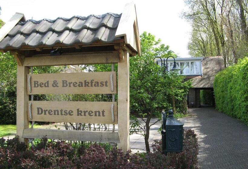 ベッドアンドブレックファースト Drentse Krent