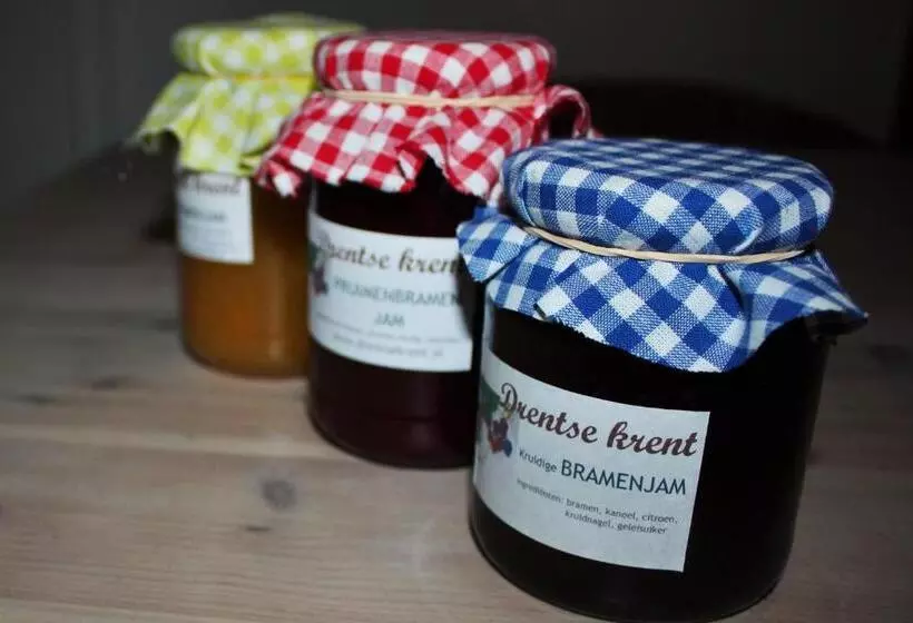 ベッドアンドブレックファースト Drentse Krent