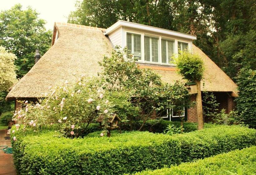 ベッドアンドブレックファースト Drentse Krent