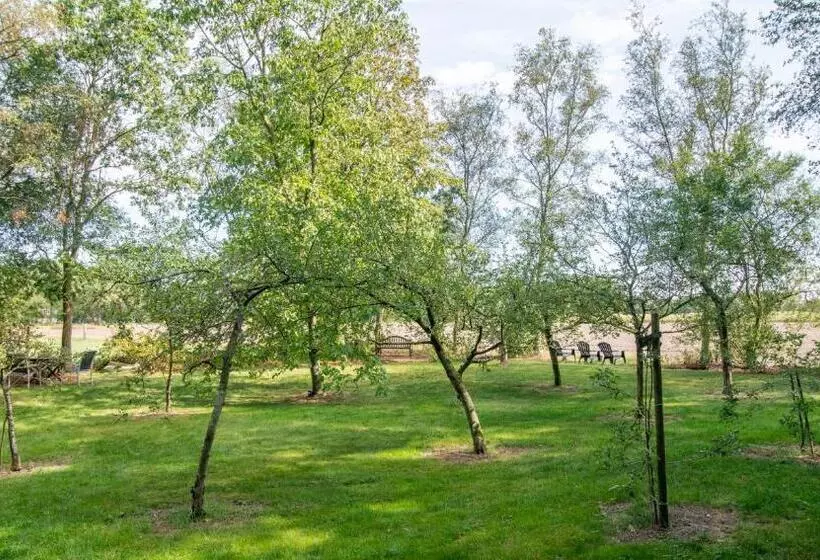 ベッドアンドブレックファースト Drentse Krent